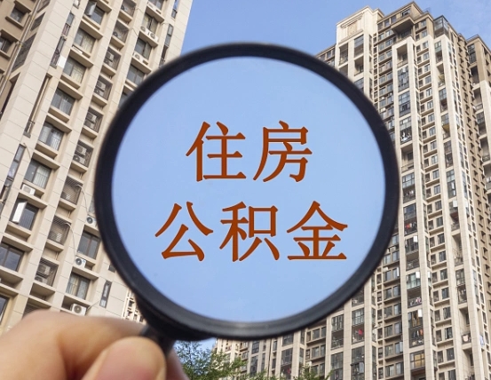 禹州退休后查不到公积金明细了吗（退休后公积金查询不到原因）
